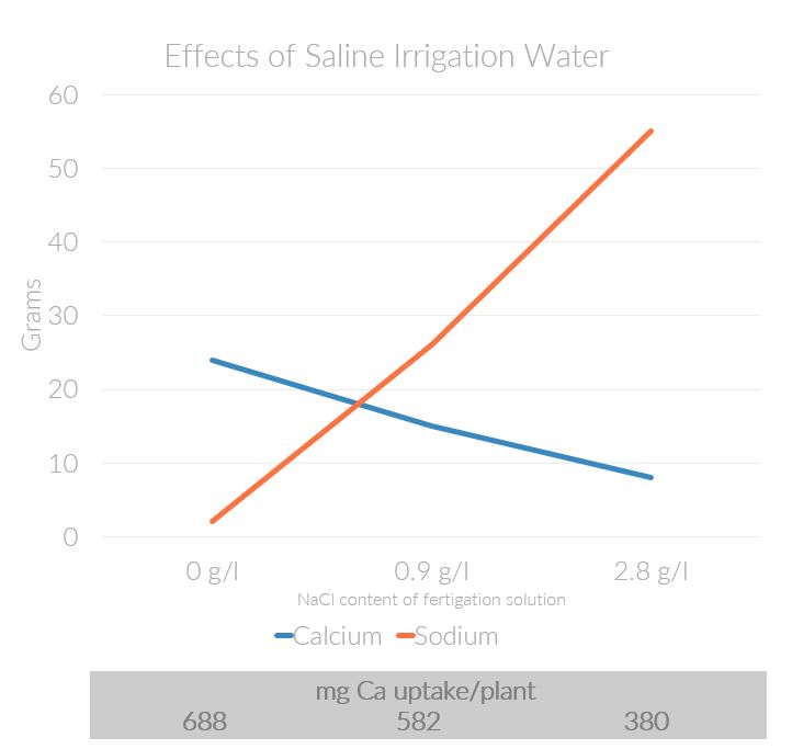 Effects of Saline Irrigation Water on Soil Calcium