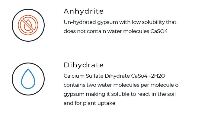 Types of gypsum