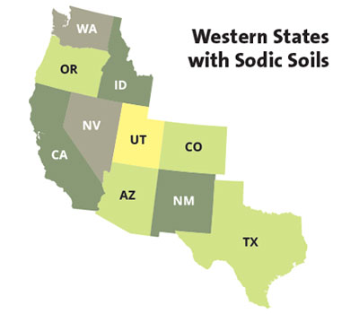 states-sodic-soil