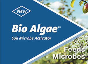Bio Algae
