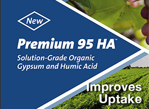 Premium 95 HA