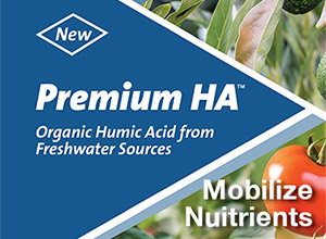 Premium HA
