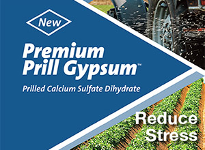 Premium Prill Gypsum